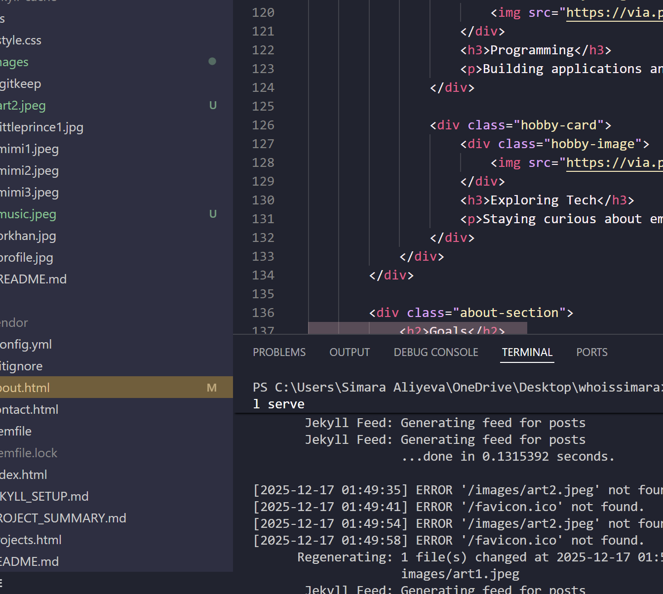 Programming hobby